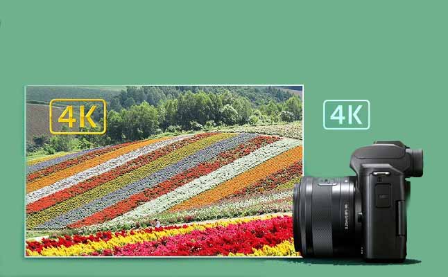 دوربین بدون آینه کانن Canon EOS M50 Mark II